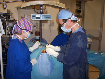 Dr. Sullivan demonstrating a surgical technique